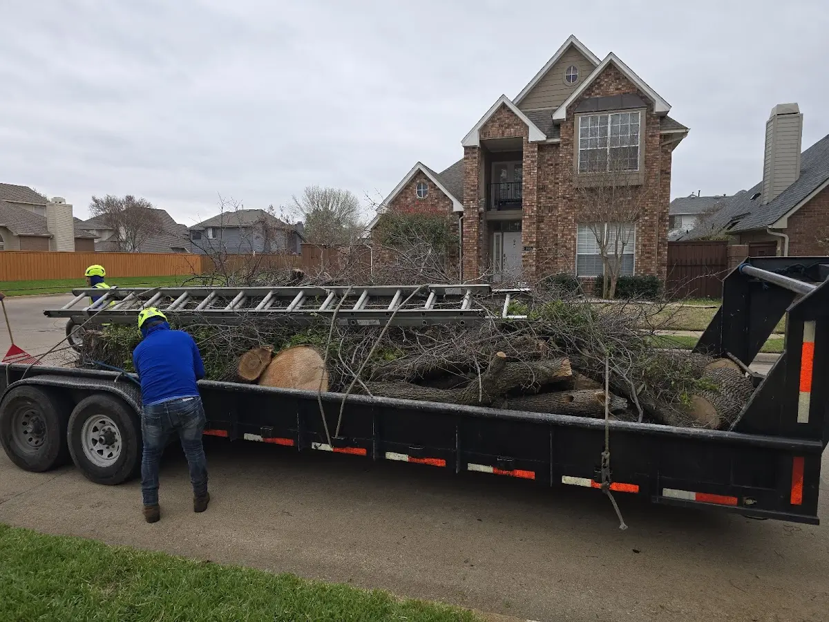 Expert Lot Clearing with proper safety equipment in Caledonia